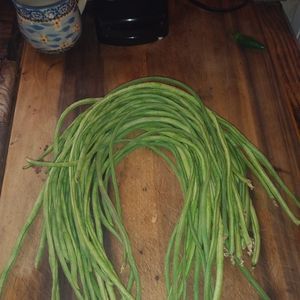 Meet your Posher, Stephen